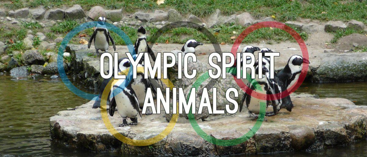 5 Olympic Sport Spirit Animals