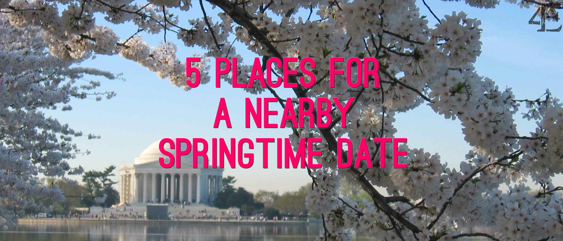 jefferson-memorial-at-cherry-blossom-time