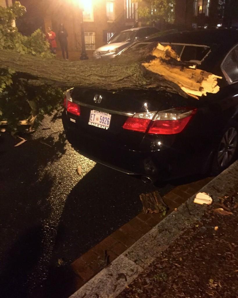 COURTESY OLIVIA ENOS
A tree fell outside the front gates during heavy storms Monday evening, damaging the rear end of Olivio Enos (GRD 17) car. 