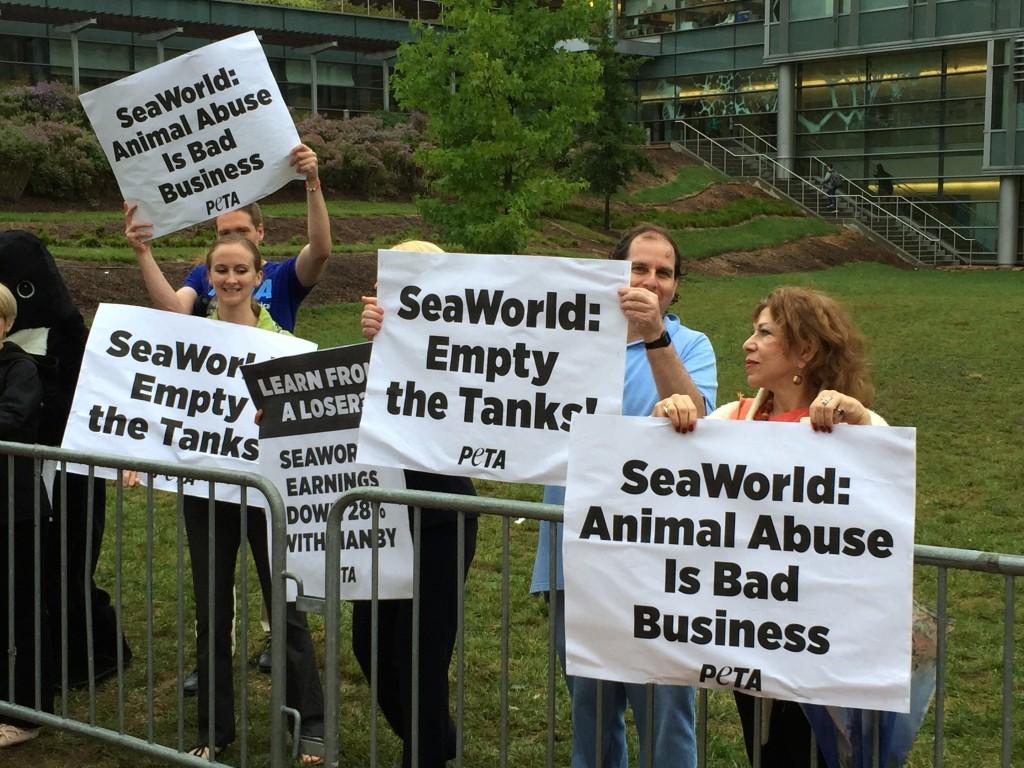SeaWorld Partnership Faces Criticism, Protest