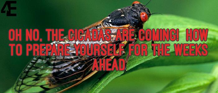 Oh No, the Cicadas Are Coming! How To Prepare Yourself for the Weeks Ahead