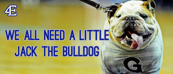 We All Need a Little Jack the Bulldog