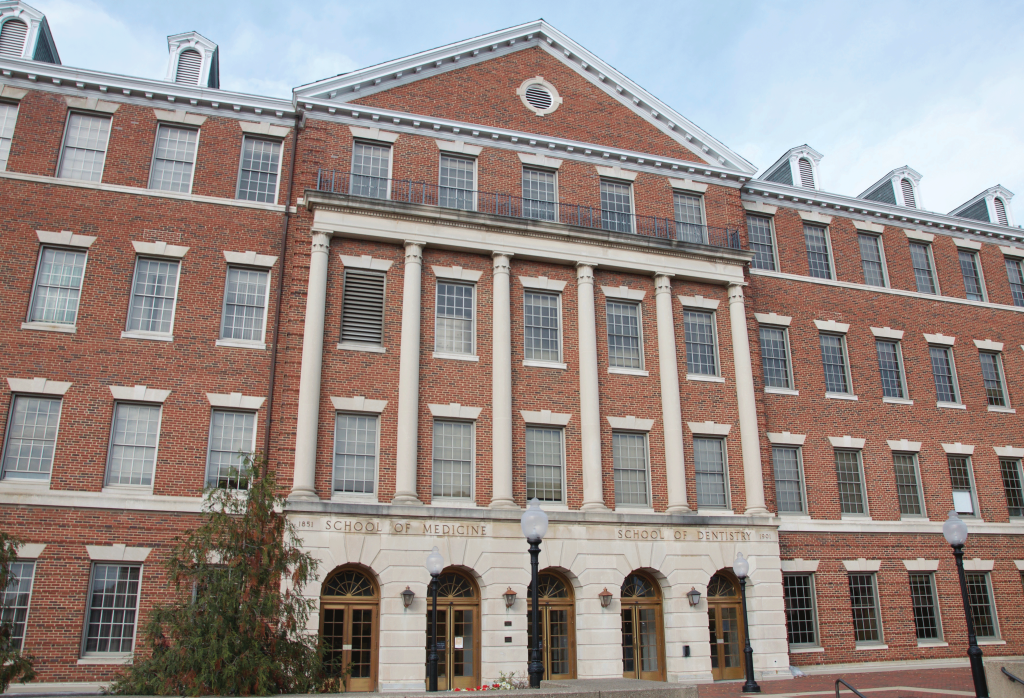 ELIZA MINEAUX/THE HOYA
A report by the Georgetown University Medical Center cautioned the use of inflammation to halt cancer due to its detrimental effects once tumors are established.