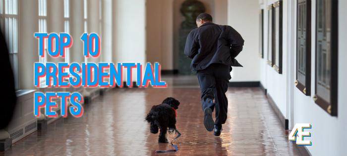 Top Ten Presidential Pets