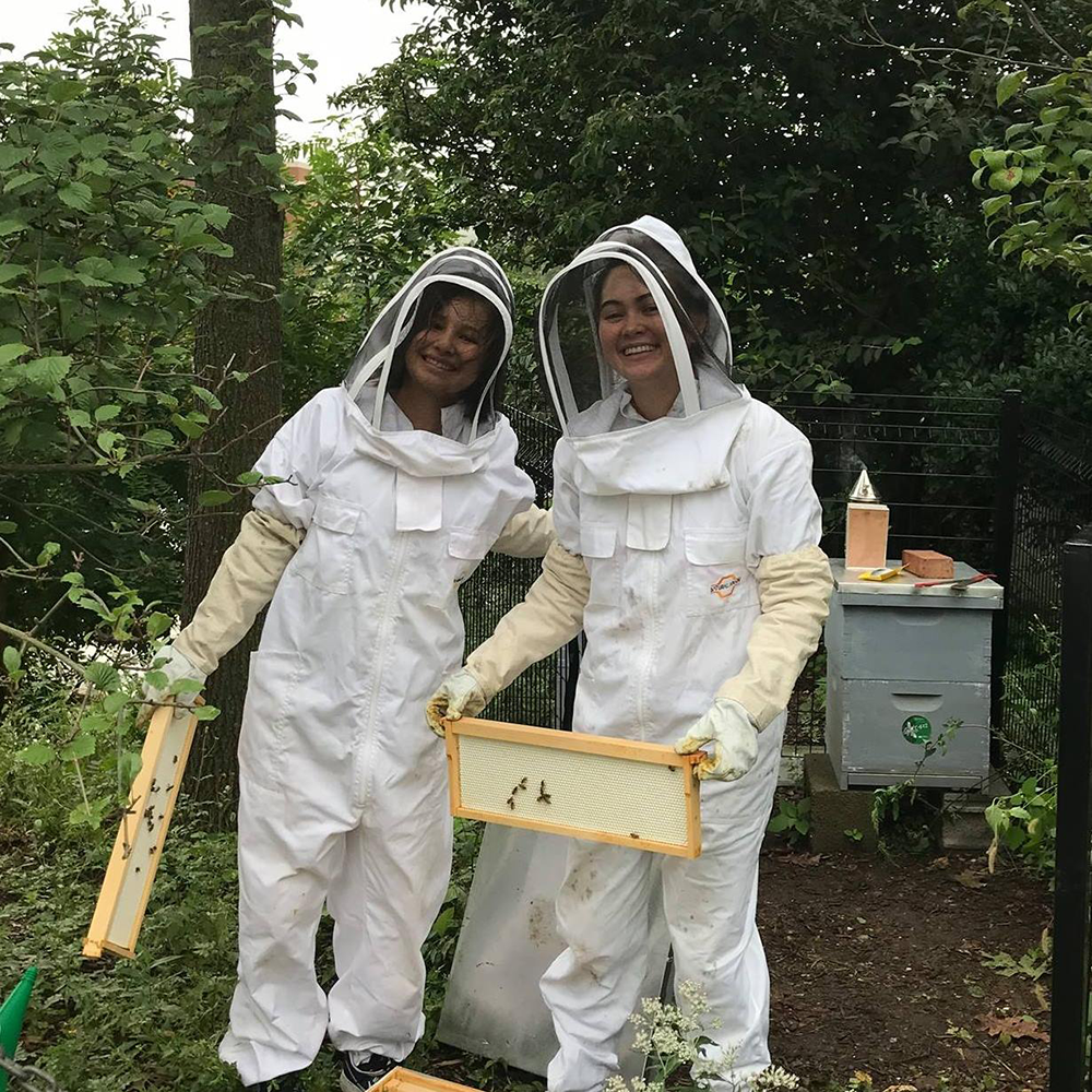 HOYAHIVE/FACEBOOK | To receive the designation, universities must meet seven different requirements around efforts to support and sustain bee populations on campus.