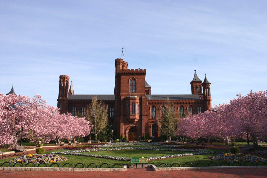 Smithsonian Alters Museum Hours Following Staffing Shortages Due to COVID-19