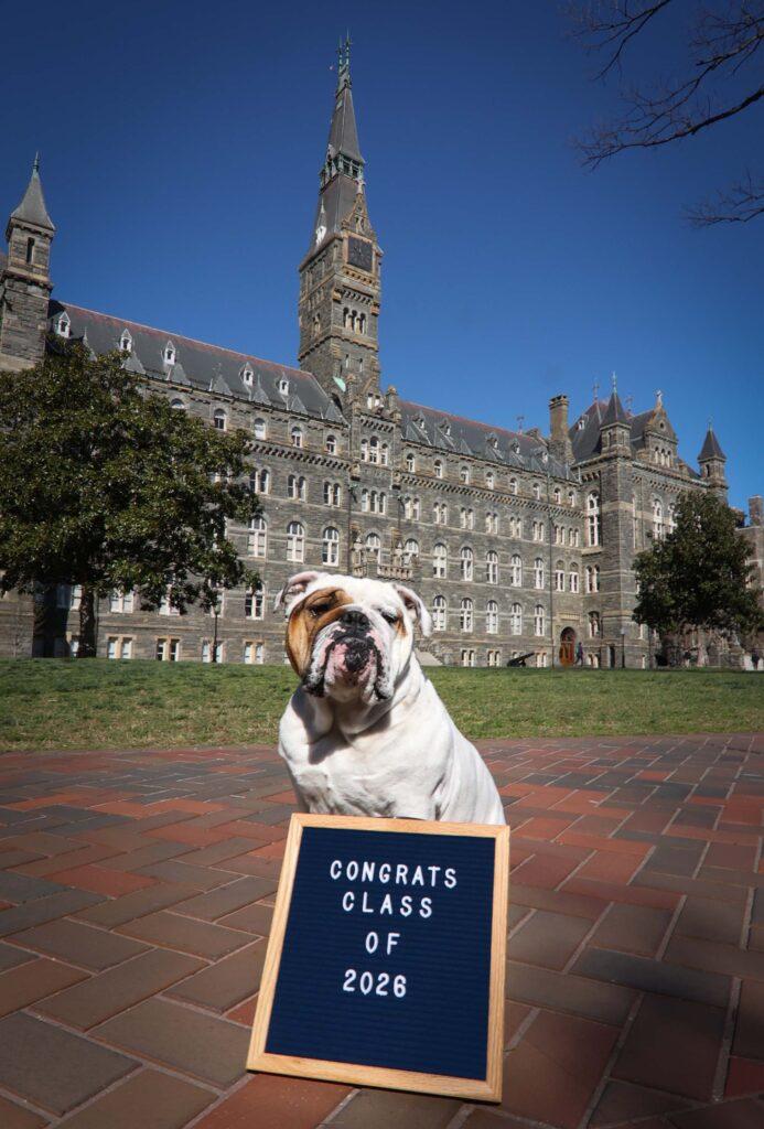 Georgetown Admits 12% of Regular Decision Applicants for Class of 2026