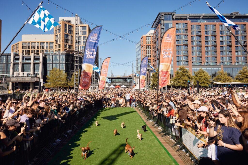 On Sept. 16, 128 Dachshunds raced down District Pier at The Wharf. 