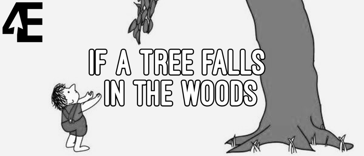 If a tree falls in the woods…