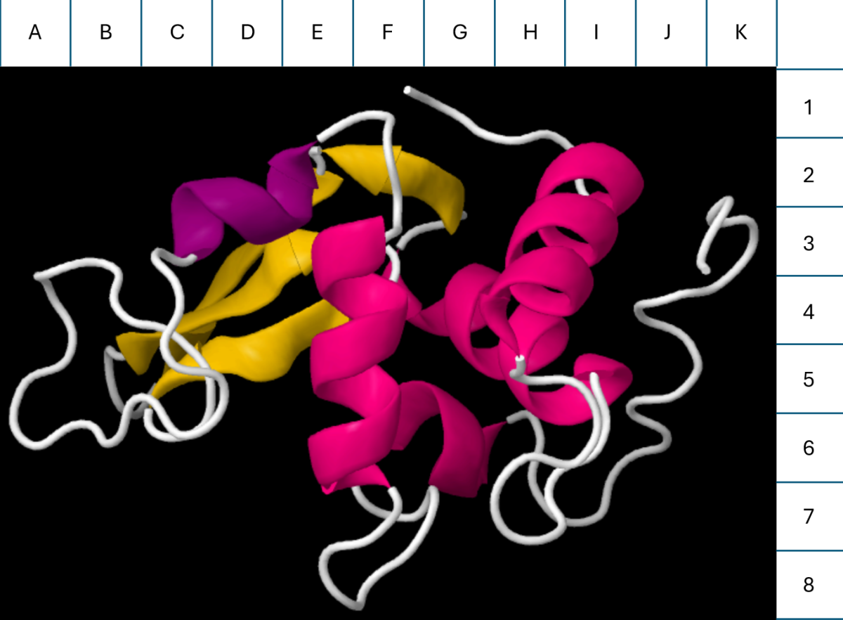 WIKIMEDIA COMMONS | The Georgetown University Maillard Lab and Wang Lab collaborated to investigate the nervous system via protein experiments. 