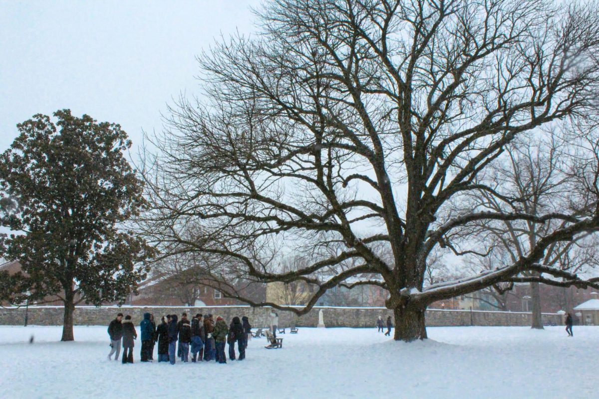 Following a winter storm, Georgetown University closed campuses with instructional continuity from Jan. 25 to Jan. 29. While students enjoyed the snow-filled neighborhood, some grew wary of virtual classes and experienced travel delays. 