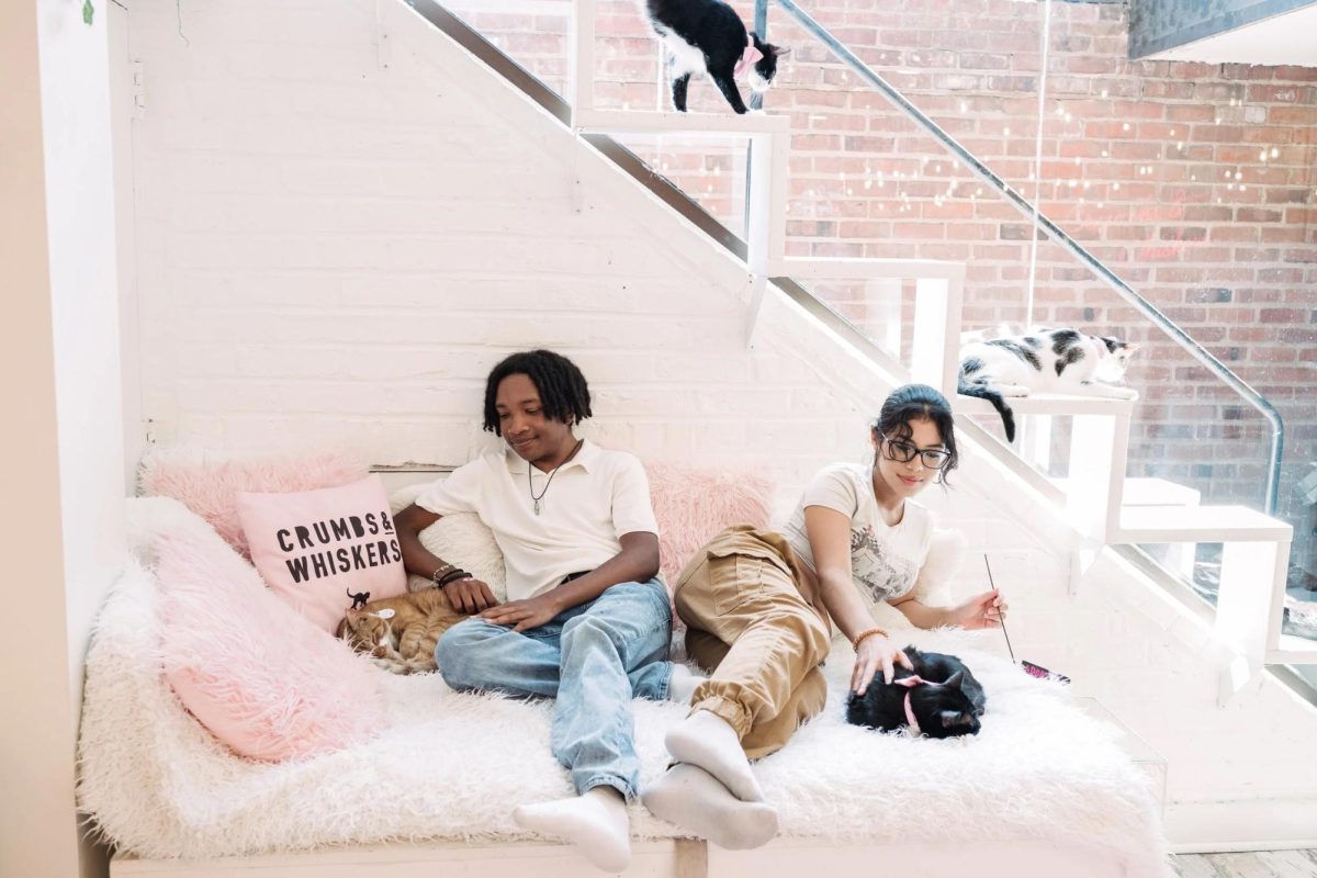 Crumbs & Whiskers, a Georgetown cat cafe, closed Feb. 9 after employees say it faced high management turnover, stalled union negotiations and unsafe work practices.
