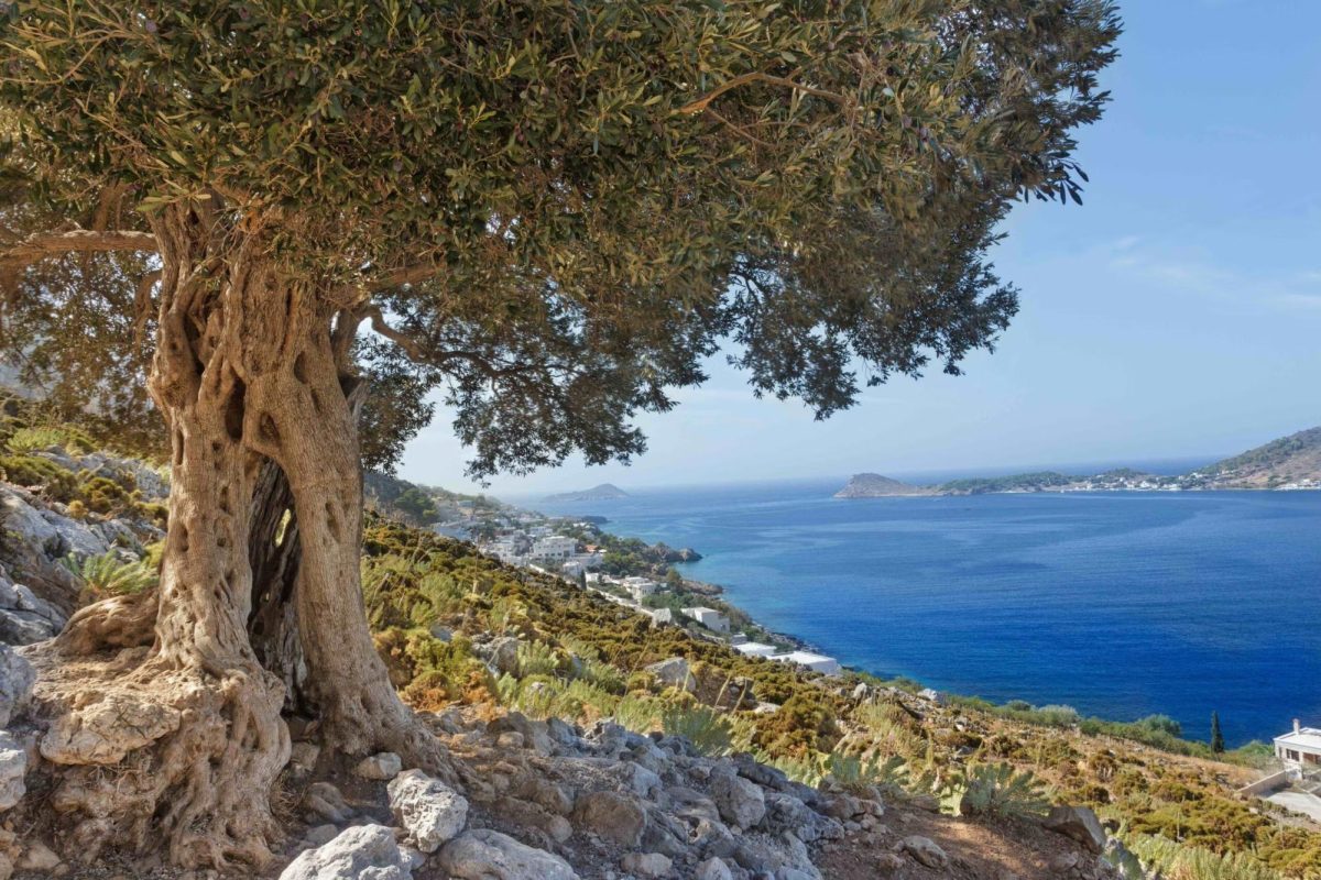 Georgetown University aims to establish a campus in Athens, Greece, which will house two professional master’s programs: an Executive Master’s in Leadership, and a Master of Science in Environment and Sustainability Management.
